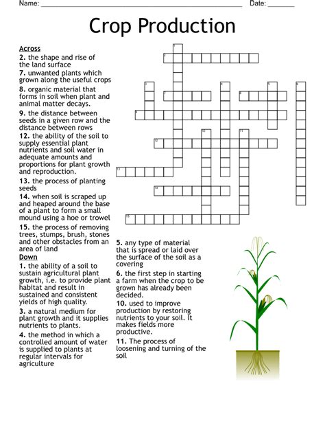 raking through. . Farm fodder crossword clue